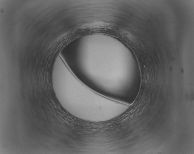 X0000070231062200605261056