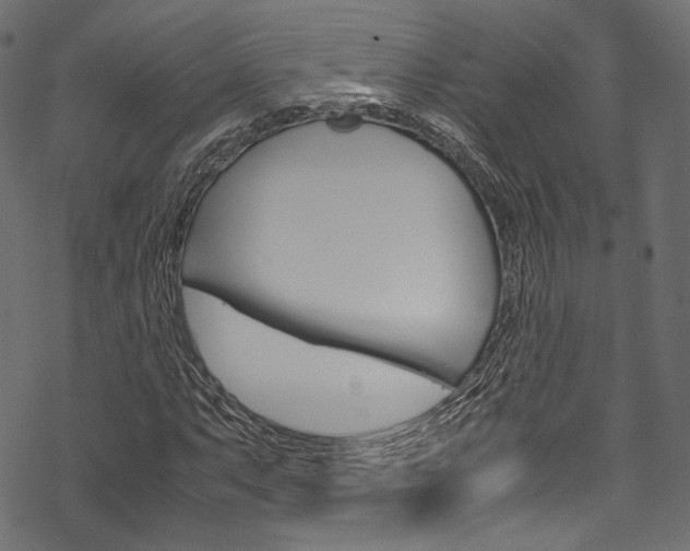 X0000070231063200605261056