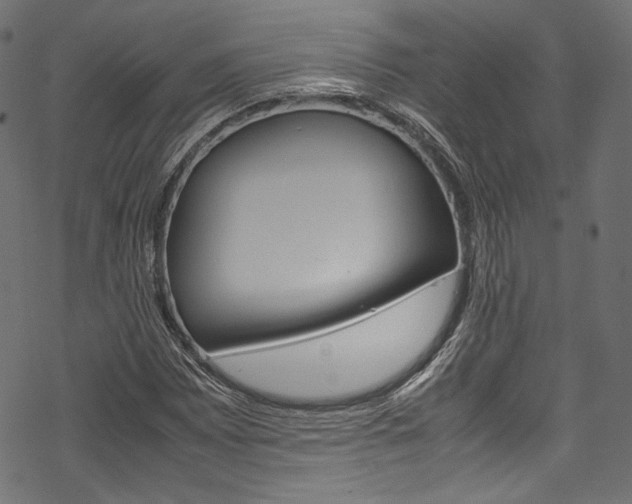 X0000070231065200605261056