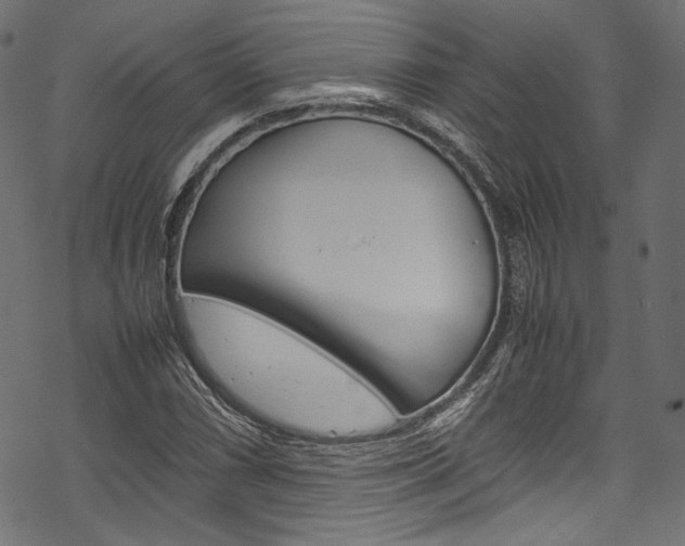 X0000070231066200605261056