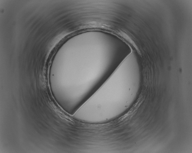 X0000070231068200605261056