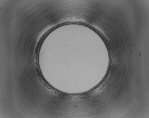 X0000070231070200605261056