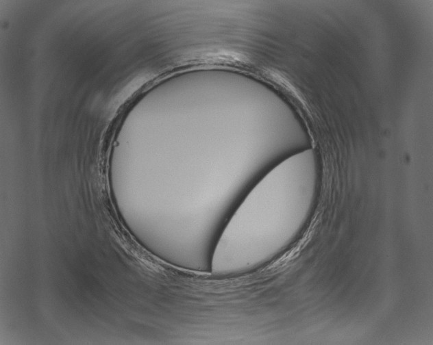 X0000070231071200605261056