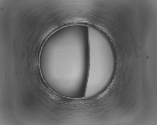 X0000070231073200605261056