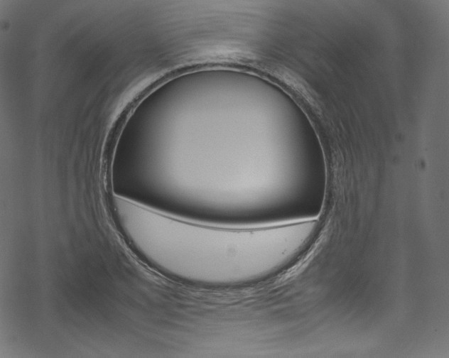 X0000070231077200605261056