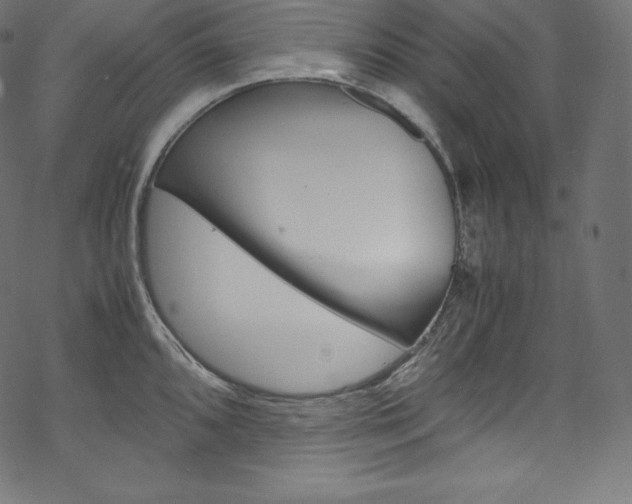 X0000070231096200605261055
