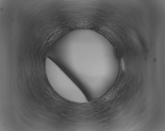 X0000070231107200605261054