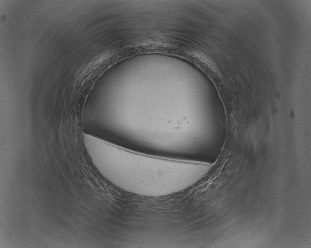 X0000070231111200605261054