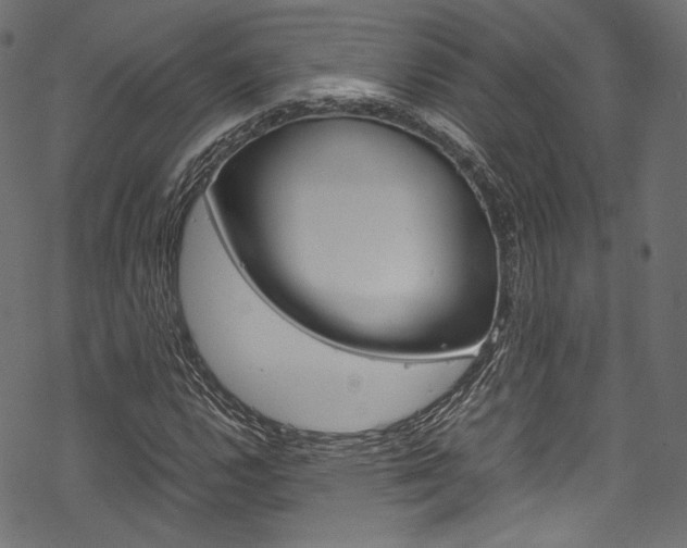 X0000070231112200605261055