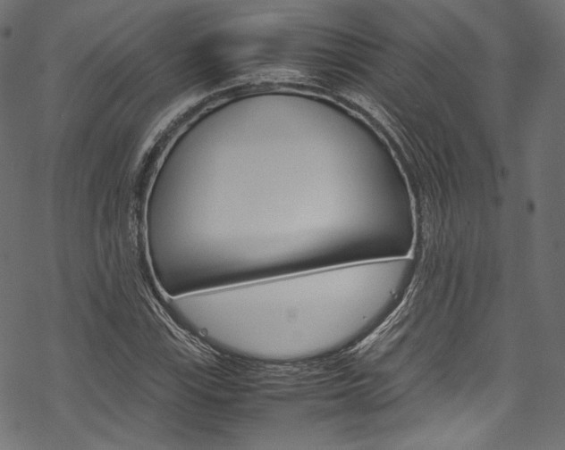 X0000070231115200605261055