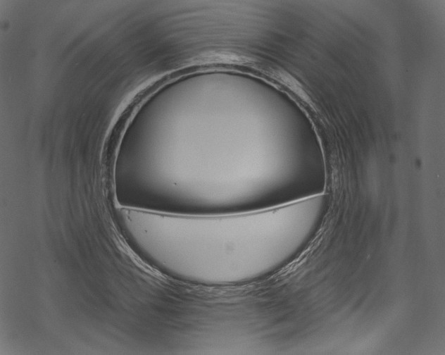 X0000070231116200605261055