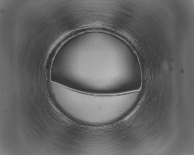 X0000070231118200605261055