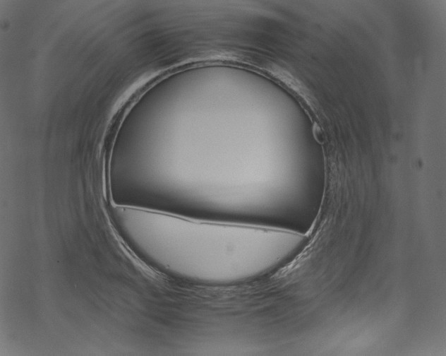 X0000070231127200605261055