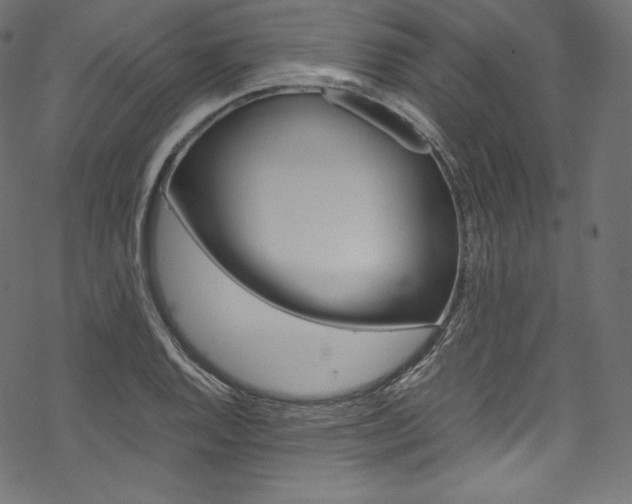 X0000070231128200605261055