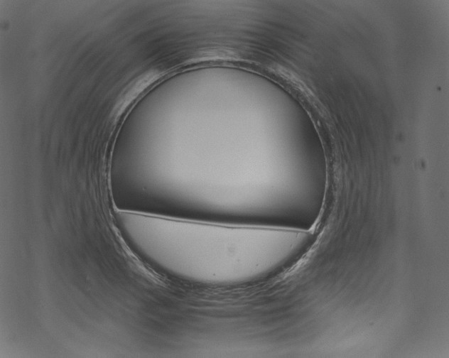 X0000070231129200605261055