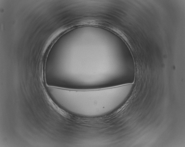 X0000070231131200605261055