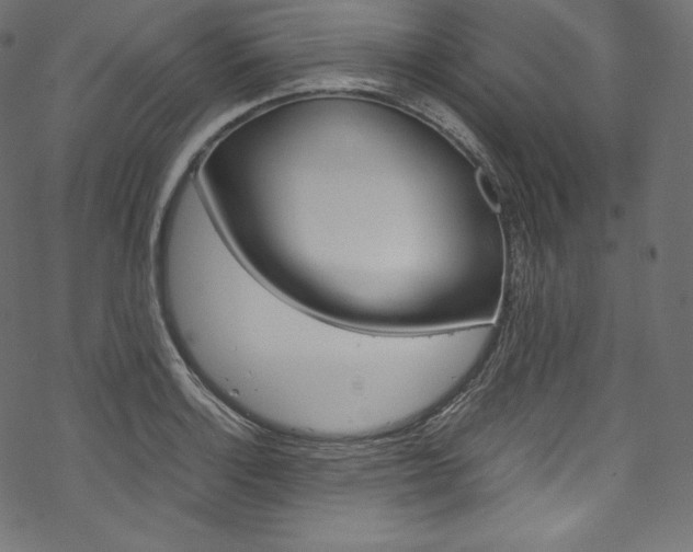 X0000070231132200605261055