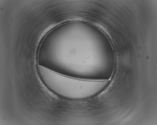 X0000070231133200605261055