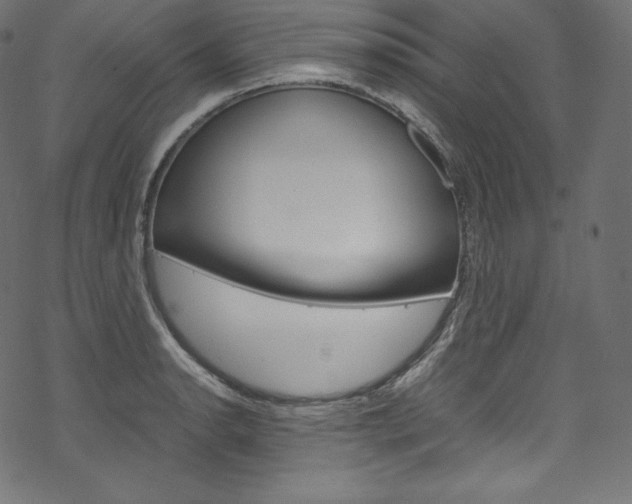 X0000070231134200605261055