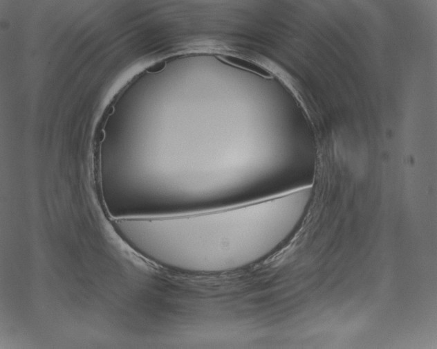 X0000070231147200605261055