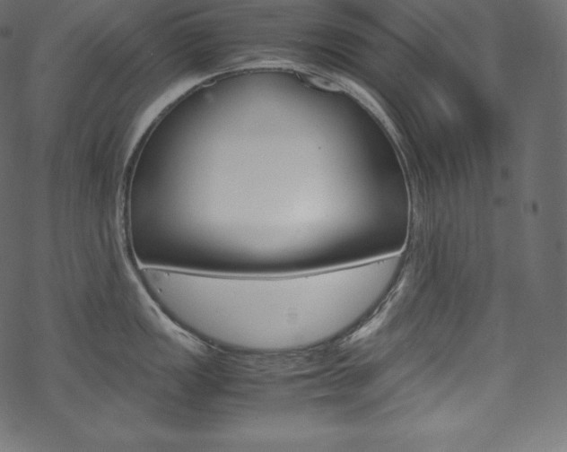 X0000070231149200605261055