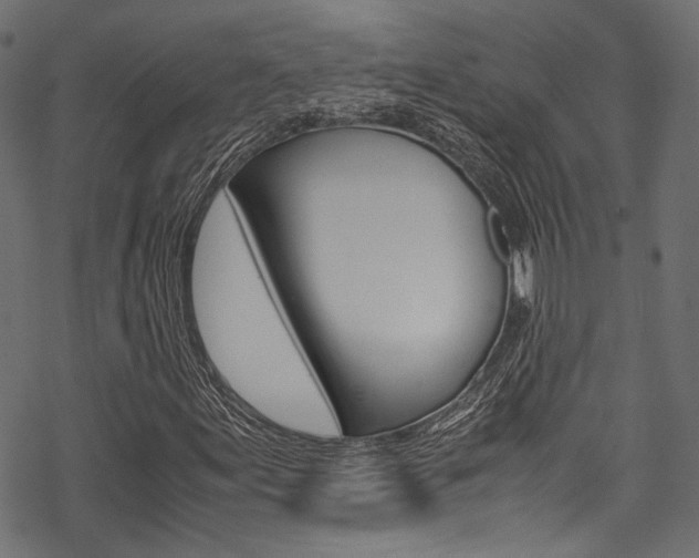 X0000070231155200605261054