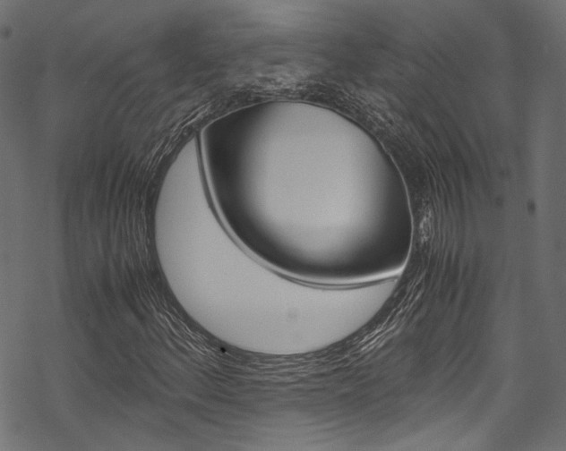 X0000070231156200605261054