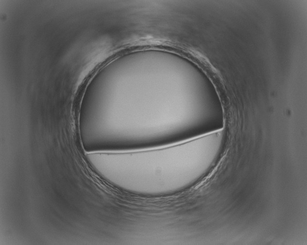 X0000070231167200605261054