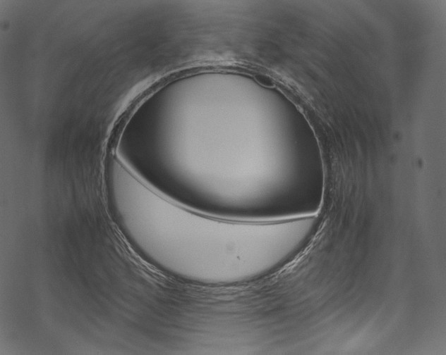 X0000070231168200605261054