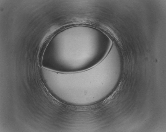 X0000070231172200605261054