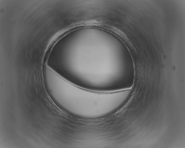 X0000070231176200605261054