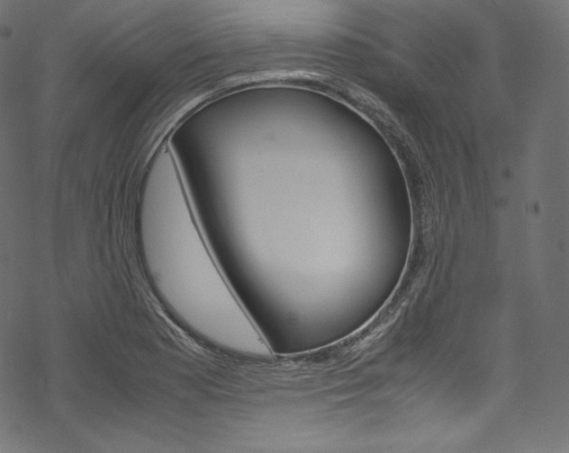 X0000070231177200605261054