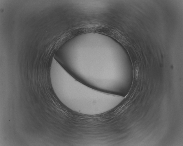 X0000070231204200605261053