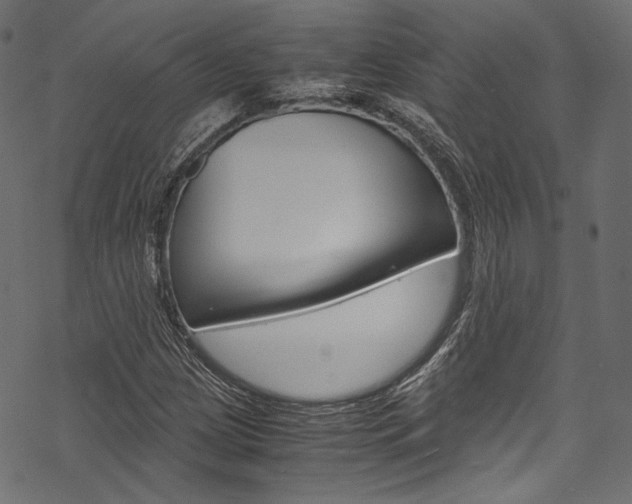 X0000070231209200605261053
