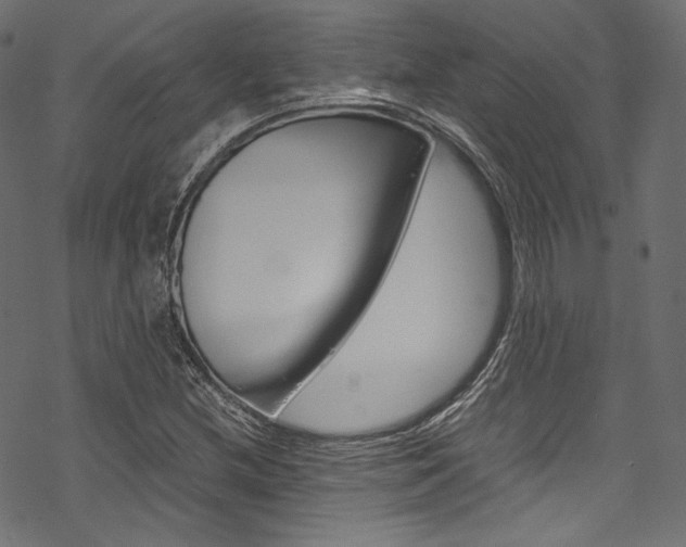 X0000070231212200605261053