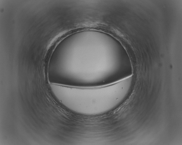 X0000070231214200605261053