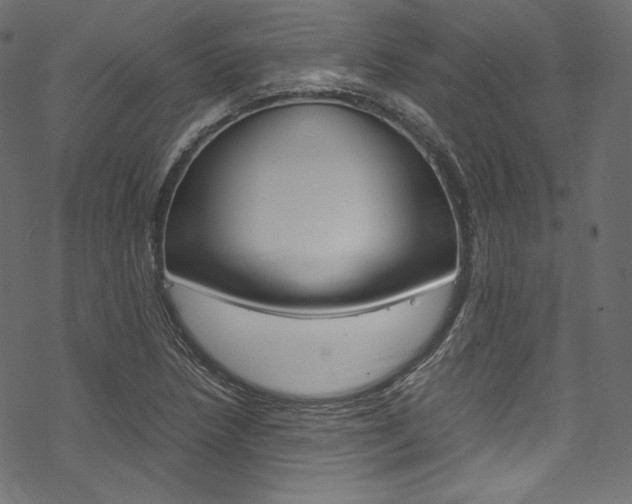 X0000070231218200605261053