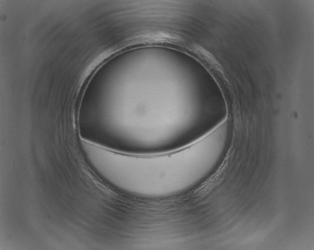 X0000070231226200605261053