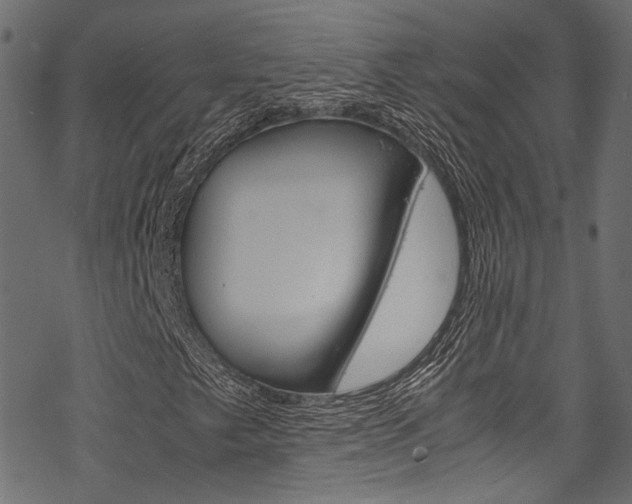 X0000070231249200605261053