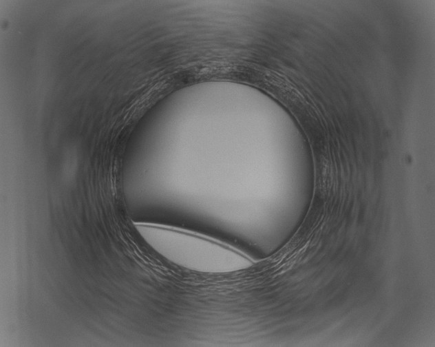 X0000070231250200605261053