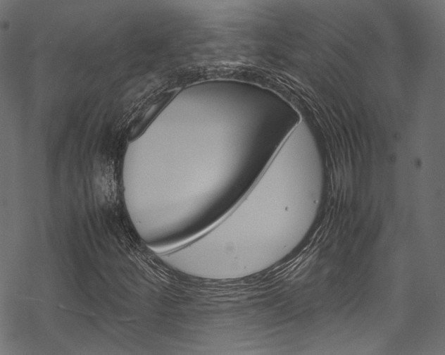 X0000070231252200605261053