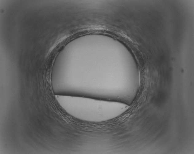 X0000070231255200605261053