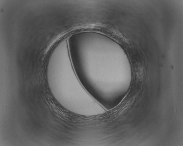 X0000070231256200605261053