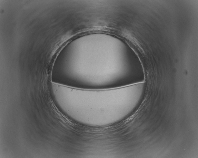 X0000070231260200605261053