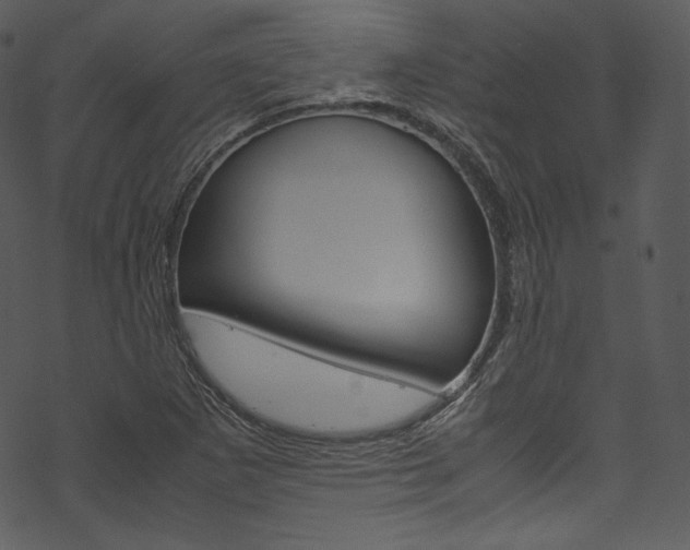 X0000070231265200605261053