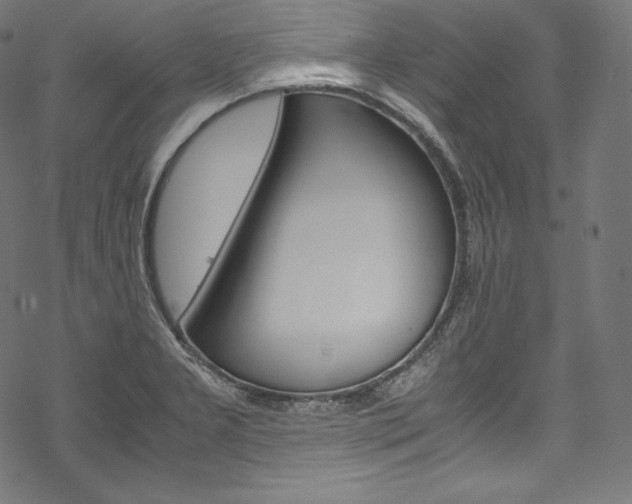 X0000070231277200605261052