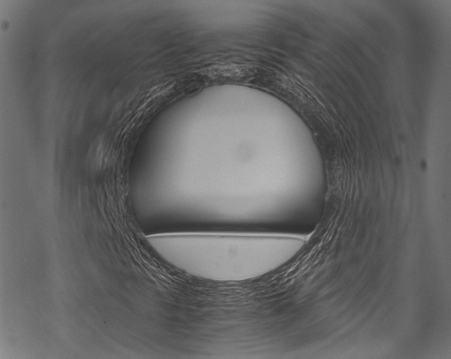 X0000070231297200605261051