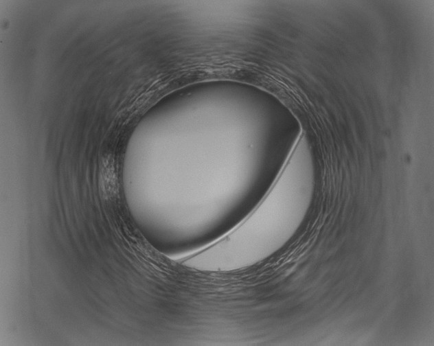 X0000070231298200605261051