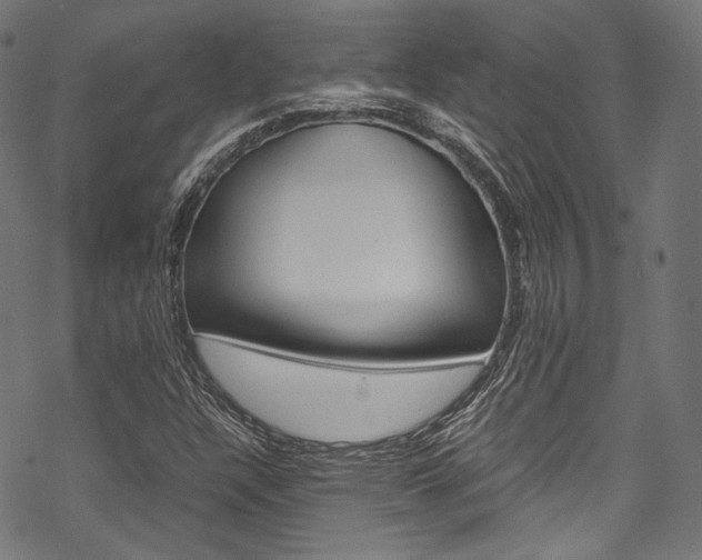 X0000070231304200605261051