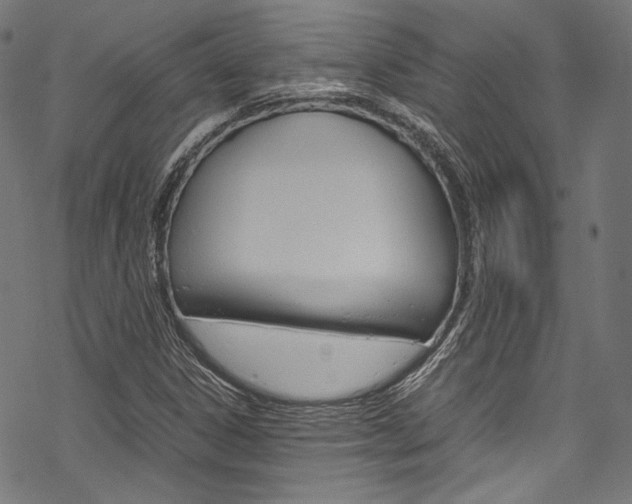 X0000070231306200605261051